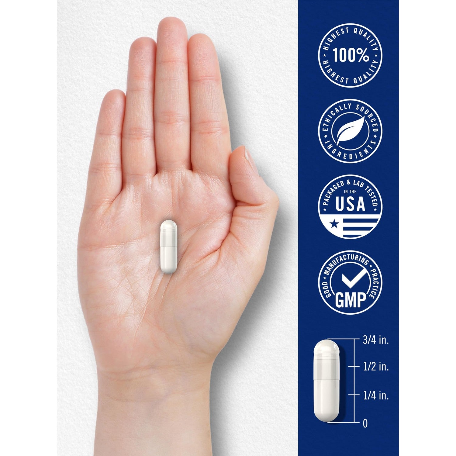 Carlyle L Methylfolate 15mg | 60 Capsules | Max Potency | Optimized and Activated | Non-GMO, Gluten Free | Methyl Folate, 5-MTHF | by Opti-Folate