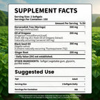 VEV Oil of Oregano with Black Seed Oil & Moringa, Organic, 300 Softgels | Aceite de Orégano, Carvacrol-Rich, Opaque Airtight Packaging