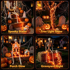 3Ft Skeleton & Dog Skeleton with Light Chain, Outdoor Halloween Decorations