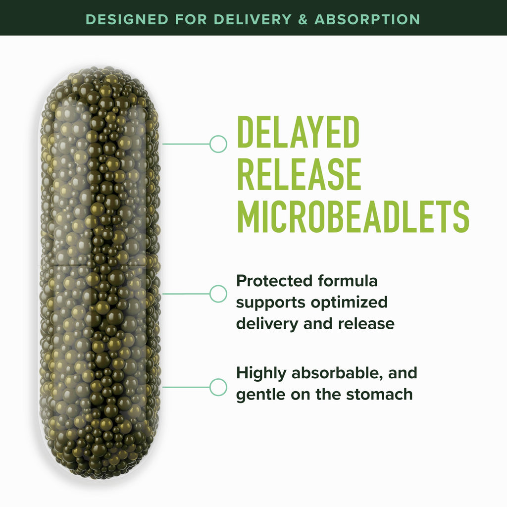 50MG Sulforaphane Supplement from Broccoli Sprouts, Doctor-Formulated | NRF2 Activation, Cellular Health & Immune Support, Glucoraphanin & Myrosinase, Third-Party Tested, 60 Broccoli Seed Beadlets