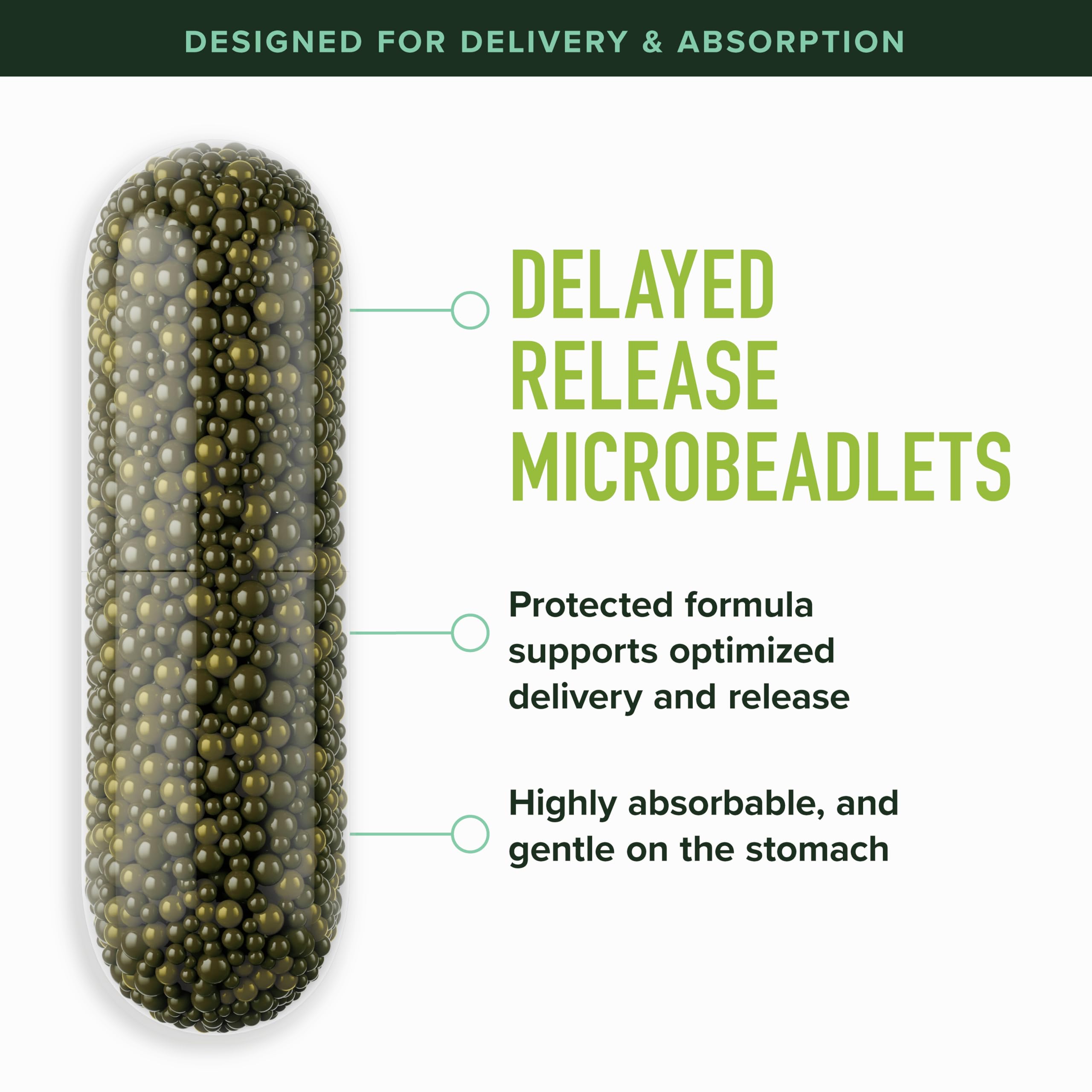 50MG Sulforaphane Supplement from Broccoli Sprouts, Doctor-Formulated | NRF2 Activation, Cellular Health & Immune Support, Glucoraphanin & Myrosinase, Third-Party Tested, 60 Broccoli Seed Beadlets