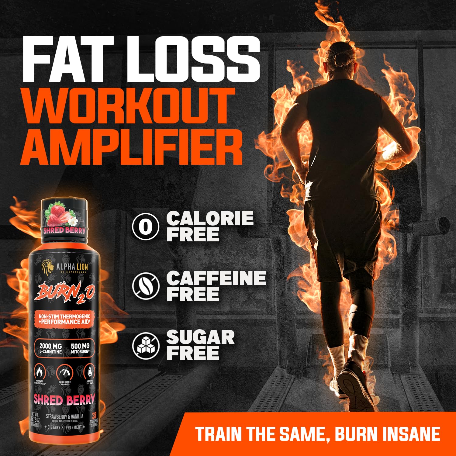 ALPHA LION Burn2O L-Carnitine Liquid 2000mg, Premium Liquid Fat Burner & Pre-Workout Supplement for Men & Women - Natural Energy & Metabolism Booster for Weight Loss - ShredBerry