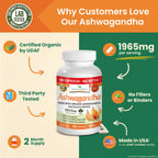 UDAF Certified Organic Ashwagandha with Black Pepper For Stress & Sleep