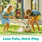 Dog Pain Relief Anti-Inflammatory, Joint Supplement for Dogs, Anti-Inflammatory Pain Support for Joint Stiffness & Soreness, Supports Mobility & Comfort, 60 Tablets