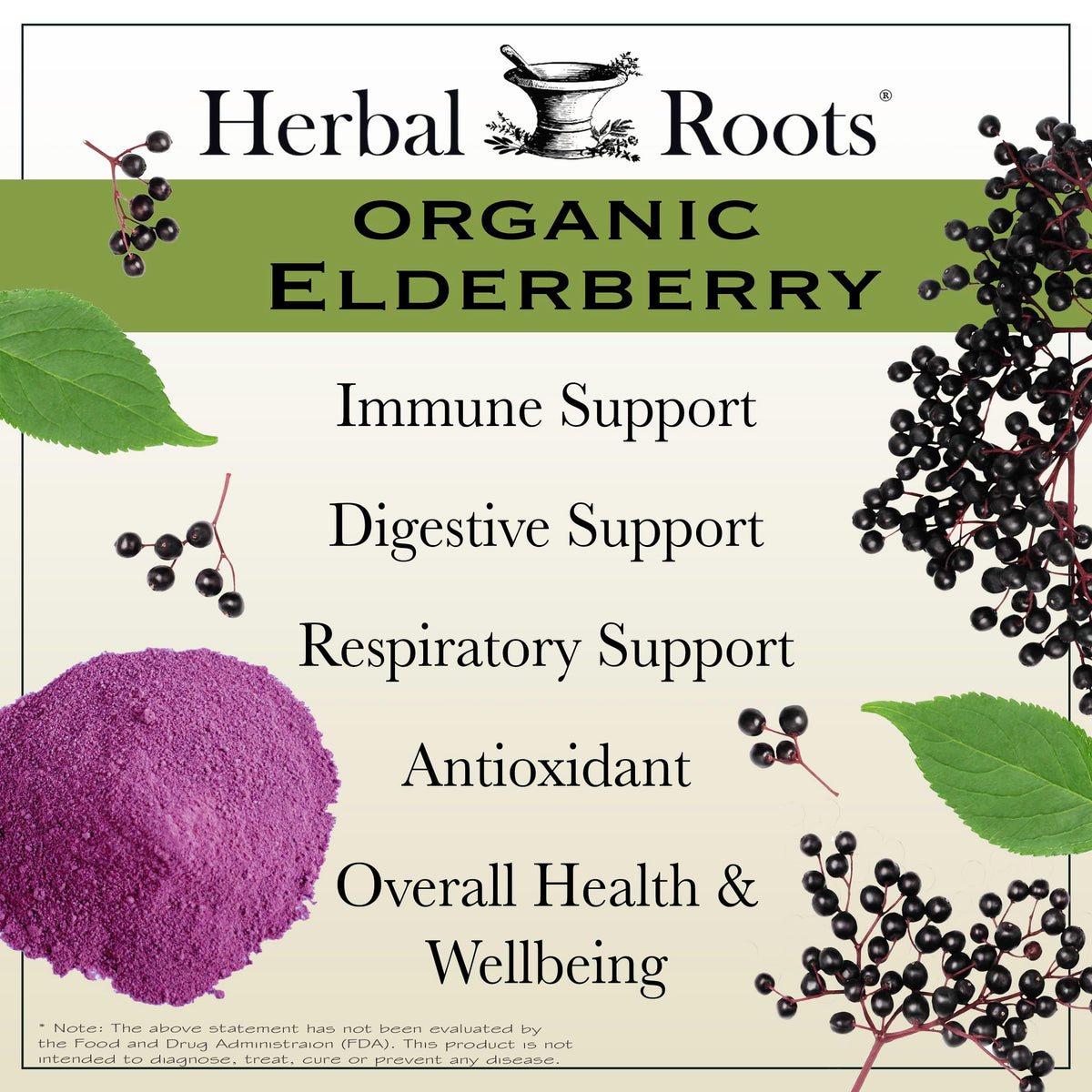 Herbal Roots Organic Black Elderberry Capsules - Max Strength - USDA Certified Organic - Immune Support - 60 Vegan Capsules
