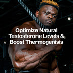 Buy now MuscleTech Thermogenic Testosterone Booster for Men, AlphaTest Thermo - T-Boost Mens Supplement with Tribulus Terrestris - Male Gym Workout Supplements for Muscle Growth, Stamina & Energy - 90 Pills at indiglob india