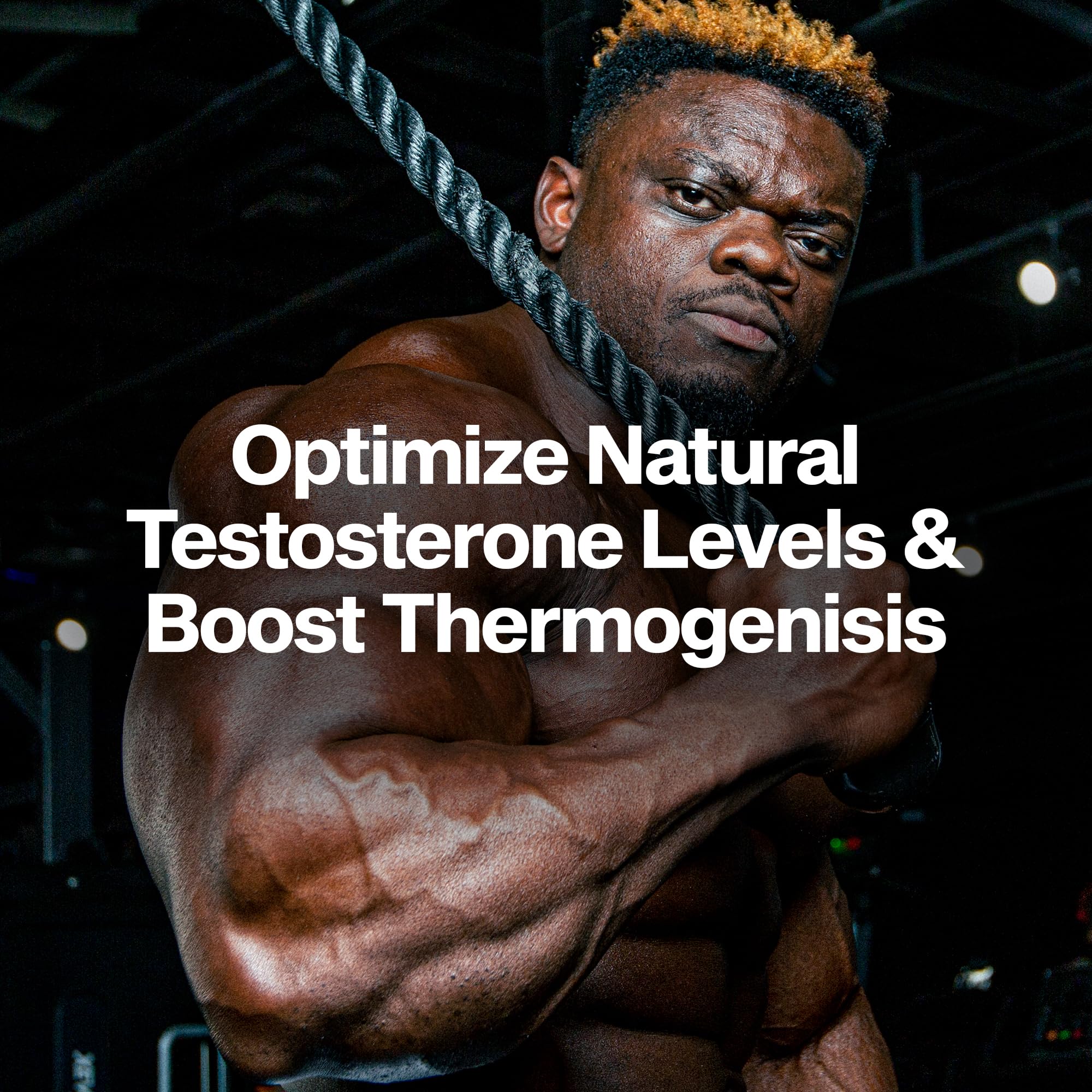 Buy now MuscleTech Thermogenic Testosterone Booster for Men, AlphaTest Thermo - T-Boost Mens Supplement with Tribulus Terrestris - Male Gym Workout Supplements for Muscle Growth, Stamina & Energy - 90 Pills at indiglob india