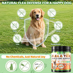 Flea and Tick Prevention for Dogs Chewables with Multivitamins, 500ct