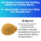 Iron Repair Simply Natural Iron Supplement for Women Men Teens, 90 Capsules | Best absorption, gentle on stomach, Monash Low FODMAP, supports raise Hemoglobin & Ferritin for women, men, teens & pregnancy