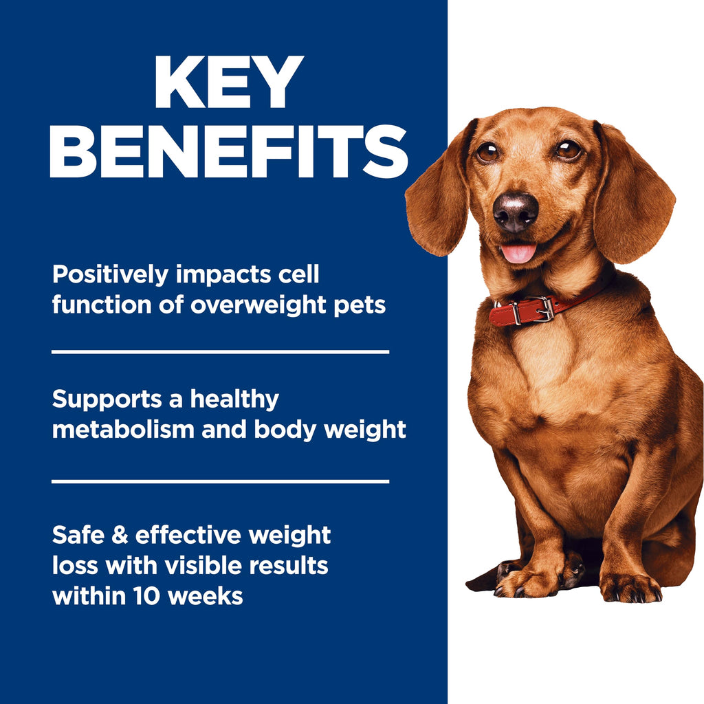 Hill's Science Diet Adult Perfect Weight Small & Mini Dry Dog Food