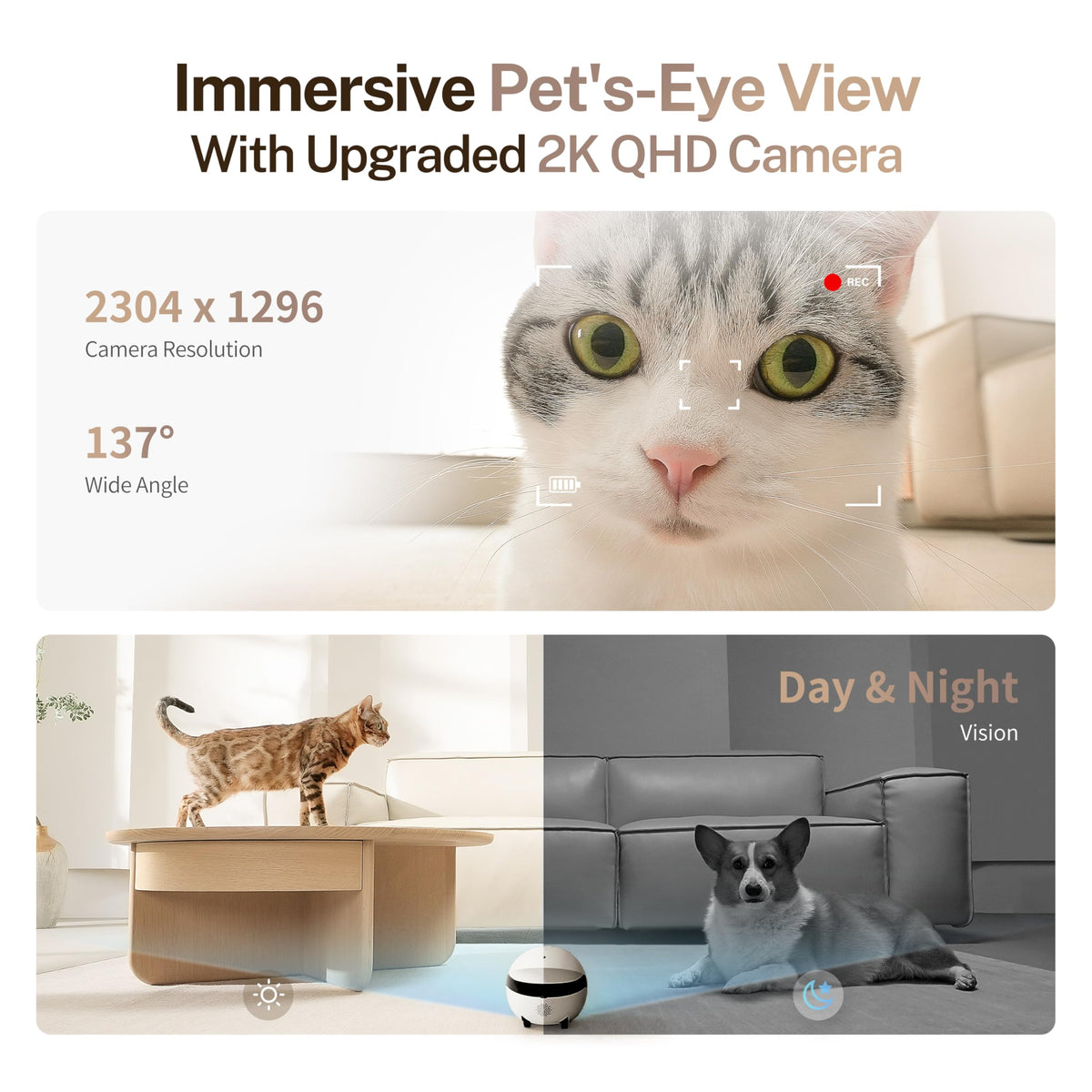 Enabot EBO ROLA Mini Pet Camera Robot: 2K FamilyBot Mobile Home Companion