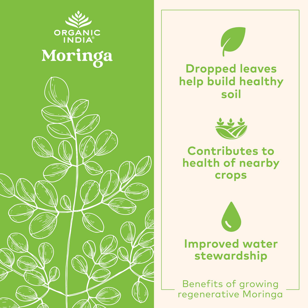 ORGANIC INDIA Moringa Herbal Supplement - Green Superfood, Nutrient Dense, Pure Plant Protein, Vitamin A, E, K, Iron, Calcium, Fiber, Vegan, Gluten-Free, USDA Certified Organic - 90 Capsules
