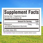 Innate Vitality Magnesium Glycinate 500mg | 70mg Elemental Magnesium Supplement - High Absorption, Non Buffered, Non-GMO & No Gluten - Vegan - Nerve Health - 60 Capsules (Pack of 1)