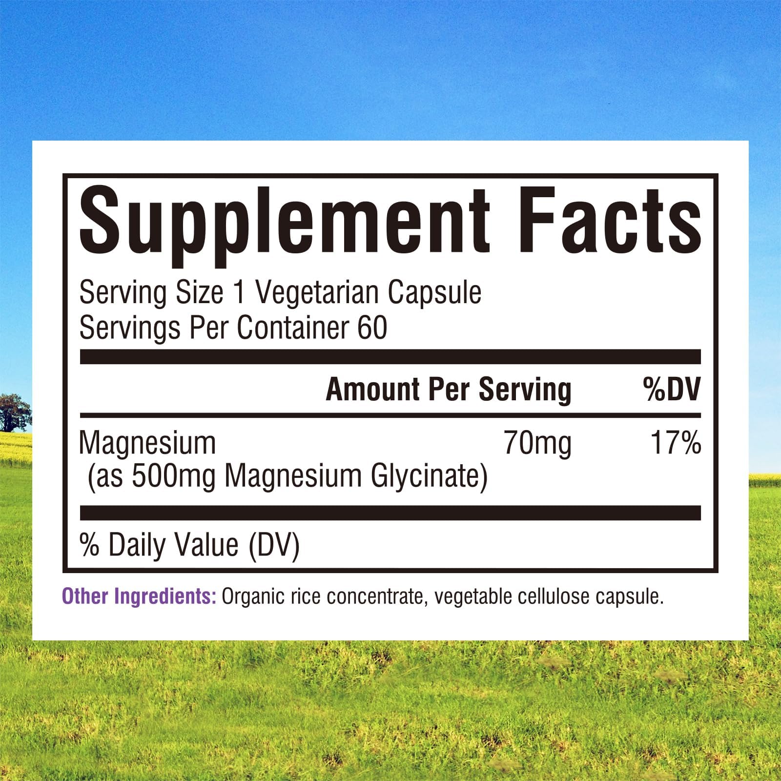 Innate Vitality Magnesium Glycinate 500mg | 70mg Elemental Magnesium Supplement - High Absorption, Non Buffered, Non-GMO & No Gluten - Vegan - Nerve Health - 60 Capsules (Pack of 1)