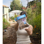 Natures Good Guys 1500 Live Ladybugs - Good Bugs- Ladybugs - Guaranteed Live Delivery!