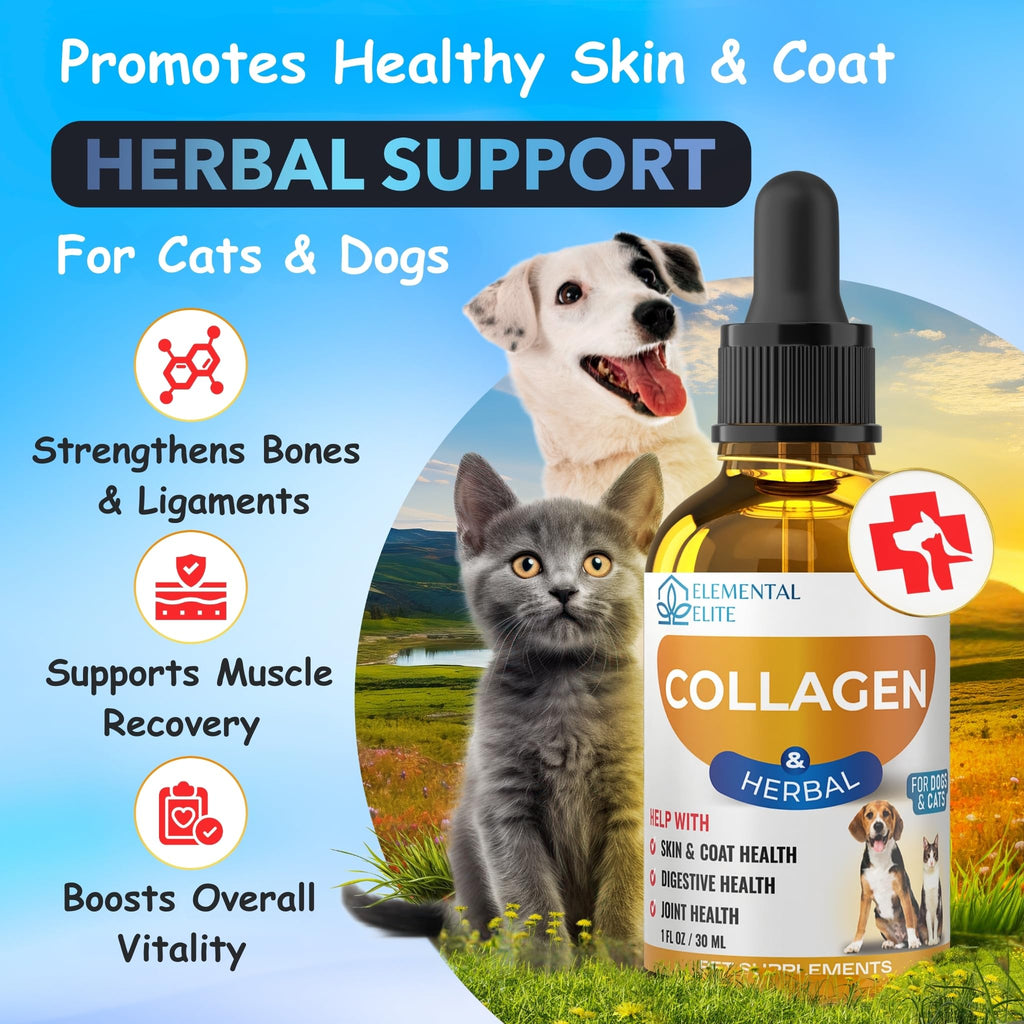 EDUZEBRA Liquid Collagen for Dogs and Cats, Skin & Coat Supplement, Itch Relief, Joint & Mobility Support, Enriched with Grass-Fed Collagen, Daily All-in-One Pet Health Formula