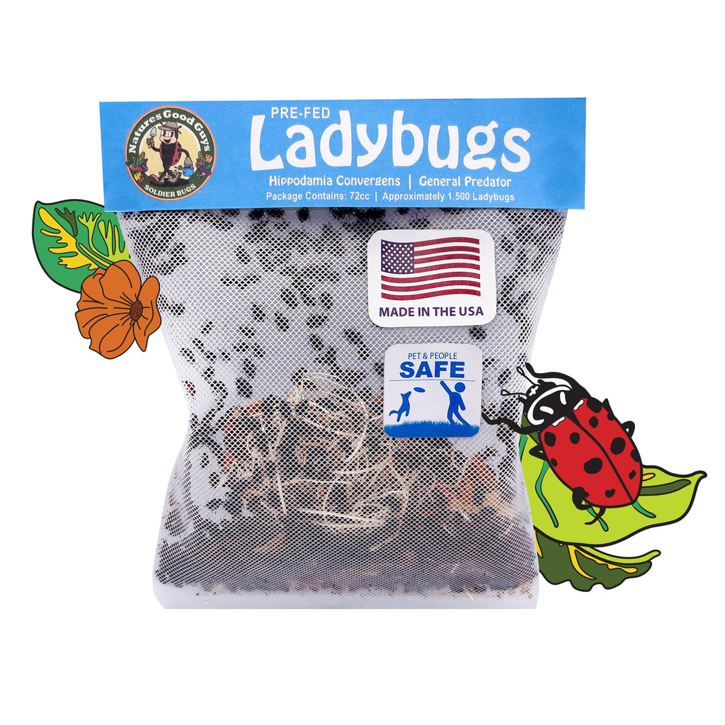 Natures Good Guys 1500 Live Ladybugs - Good Bugs- Ladybugs - Guaranteed Live Delivery!