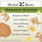 Herbal Roots Organic Ginger Capsules - Digestive Support - USDA Certified Organic - 60 Vegan Capsules