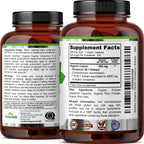 Zazzee USDA Organic Ceylon Cinnamon 20:1 Extract, 150 Capsules, Sri Lankan | Vegan, 5 Month Supply, Cinnamomum Verum, Antioxidant & Metabolic Support, All-Natural, Non-GMO, Made in the USA