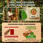 Ceylon Cinnamon with MCT Oil for Daily Metabolic & Energy Support
