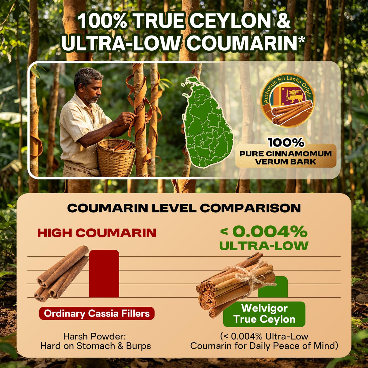 Ceylon Cinnamon with MCT Oil for Daily Metabolic & Energy Support