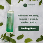Buy now EDEN BodyWorks Peppermint Tea Tree Shampoo | Clarifying Shampoo for Curly Hair | Perfect for Build Up Cleansing | 8oz at indiglob india
