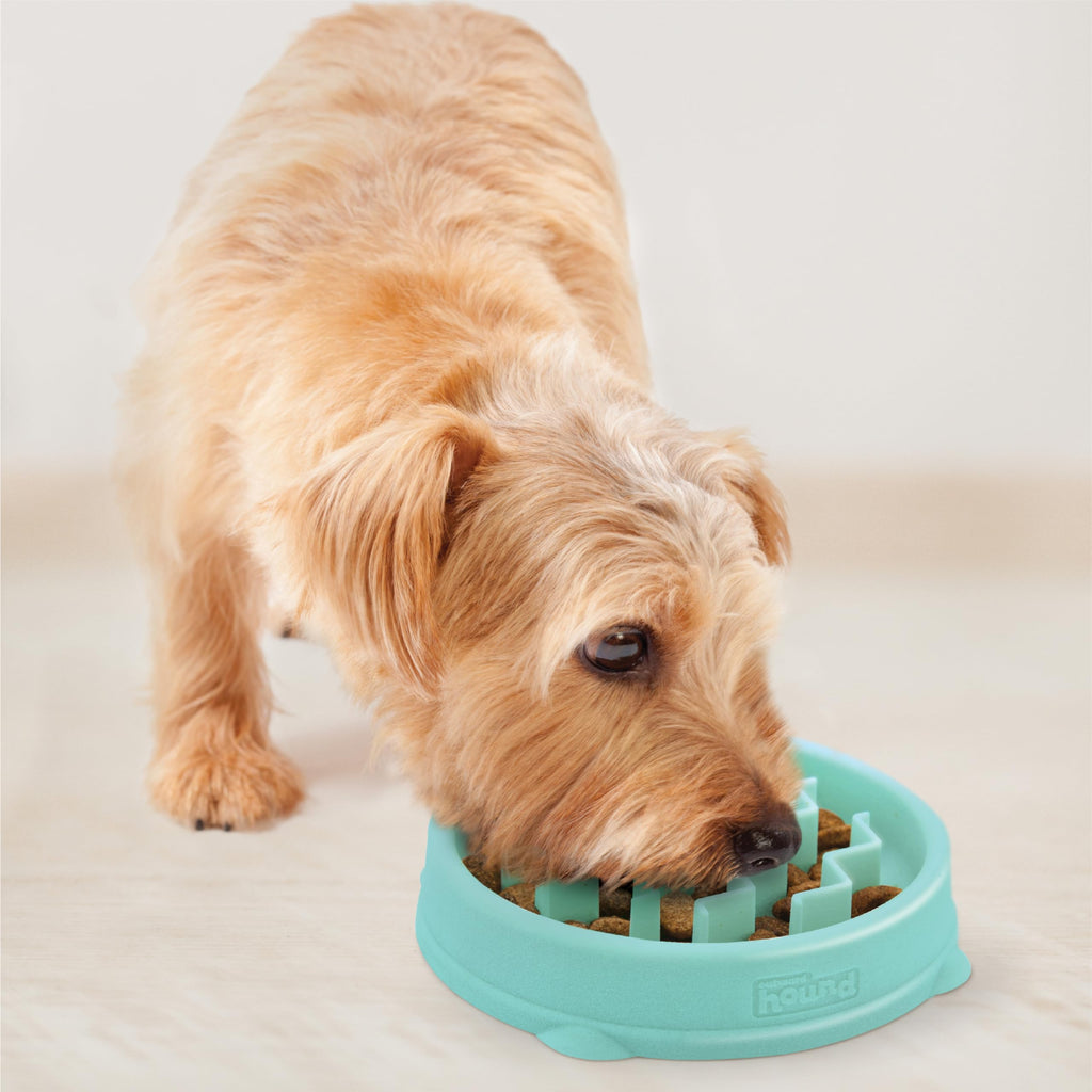 Outward Hound Fun Feeder Slo Bowl Dog Slow Feeder, Wave, Mint, 5.8"