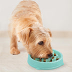 Outward Hound Fun Feeder Slo Bowl Dog Slow Feeder, Wave, Mint, 5.8"