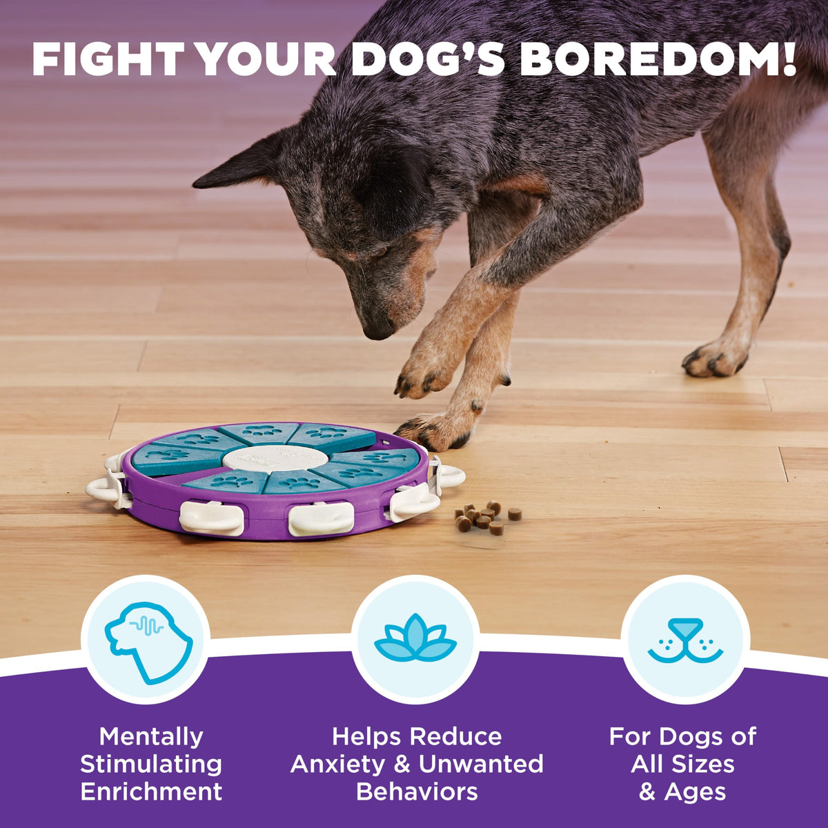 Outward Hound Nina Ottosson Dog Twister Dog Toy Treat Puzzle, 11.8"