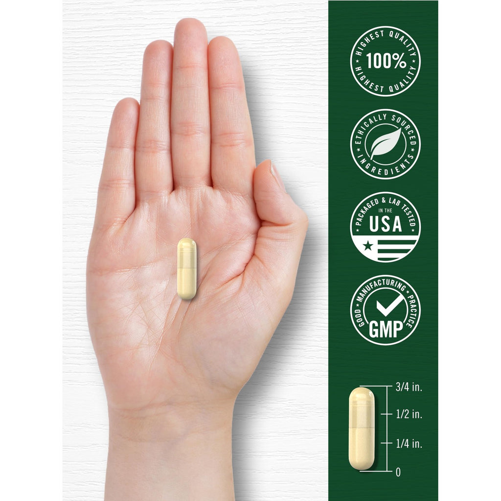 Carlyle Bitter Melon Complex | 200 Capsules | Traditional Herbal Extract Supplement | Non-GMO & Gluten Free