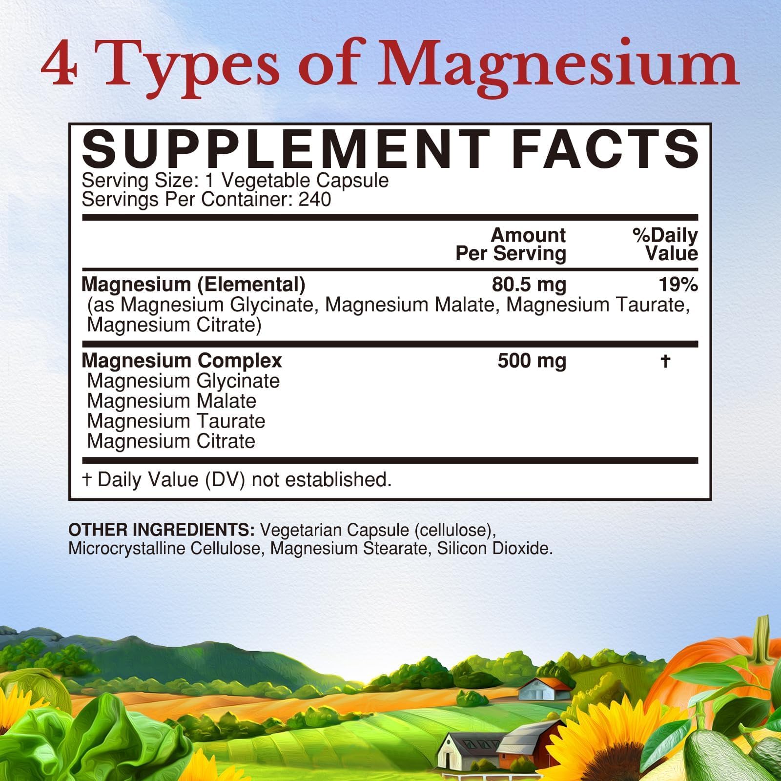 Vitalitown Magnesium Complex Supplement 500mg - NSF Certified Magnesium Glycinate, Malate, Taurate & Citrate - Chelated High Absorption & Gentle on Stomach - Vegan Non-GMO 240 Capsules