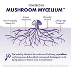 Buy now Host Defense Mushrooms Lion's Mane - Supplement Capsules for Brain Health Support - Mushroom Support for Focus & Memory Function - Immune & Nervous System Supplement - 120 Capsules (60 Servings)* at indiglob india