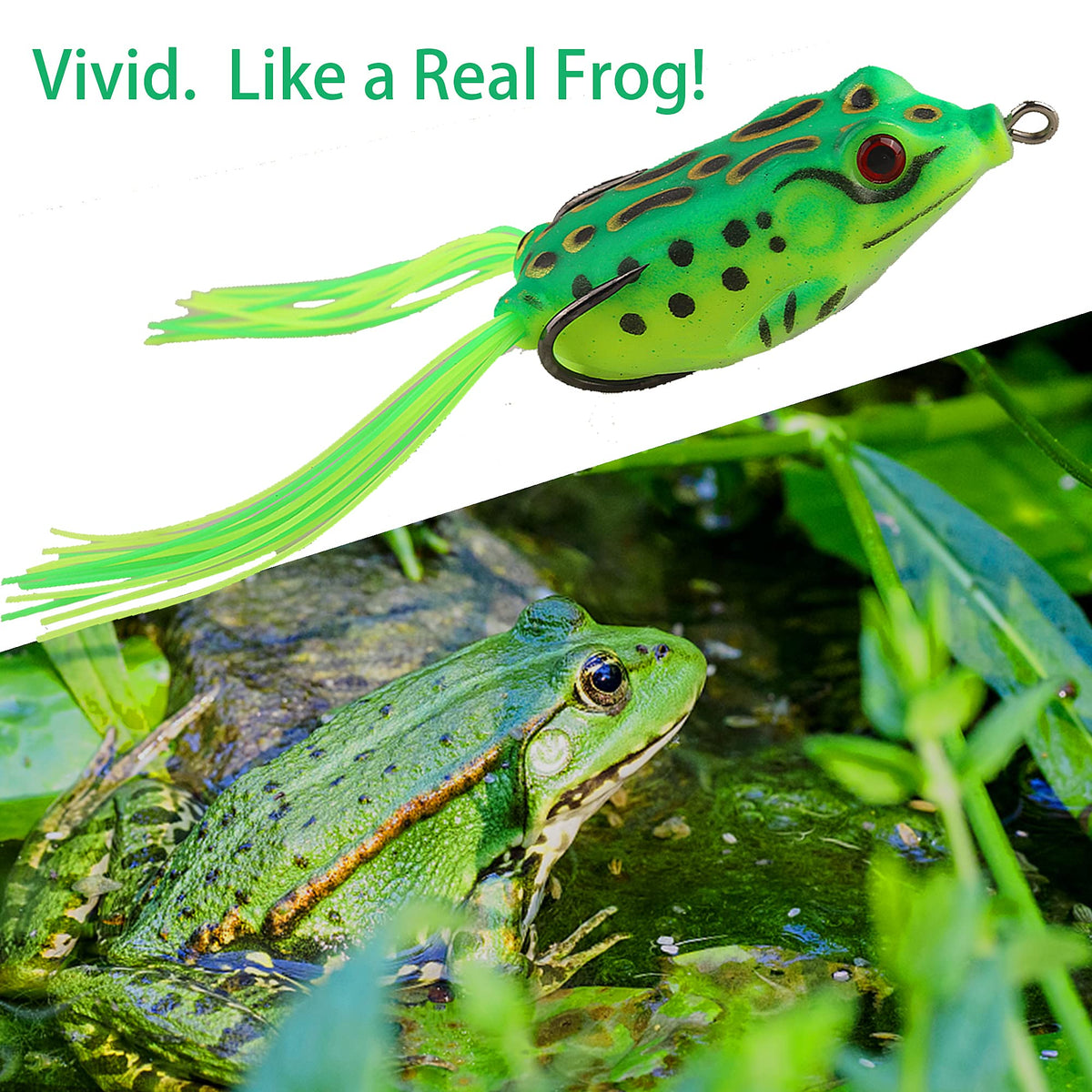 5Pcs Topwater Hollow Body Frog Lures Set with Box