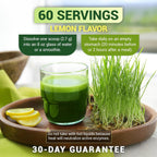 Buy now Dr. Berg USDA Certified Organic Green Powder Superfood (60 Servings) - Made with Raw Wheatgrass, Chlorophyll, Trace Minerals & Natural Enzymes - Non-GMO Green Superfood Powder - Lemon Flavor at indiglob india