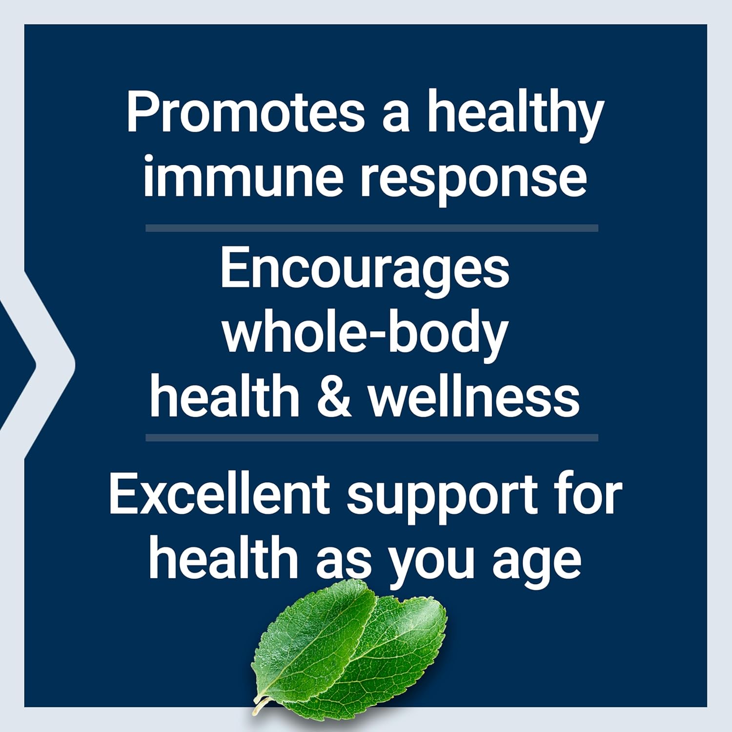 Buy now Life Extension Black Cumin Seed Oil, Black Cumin, Immune Health Support, Whole-Body Health, Healthy Aging, Gluten Free, Non-GMO, 60 softgels at indiglob india