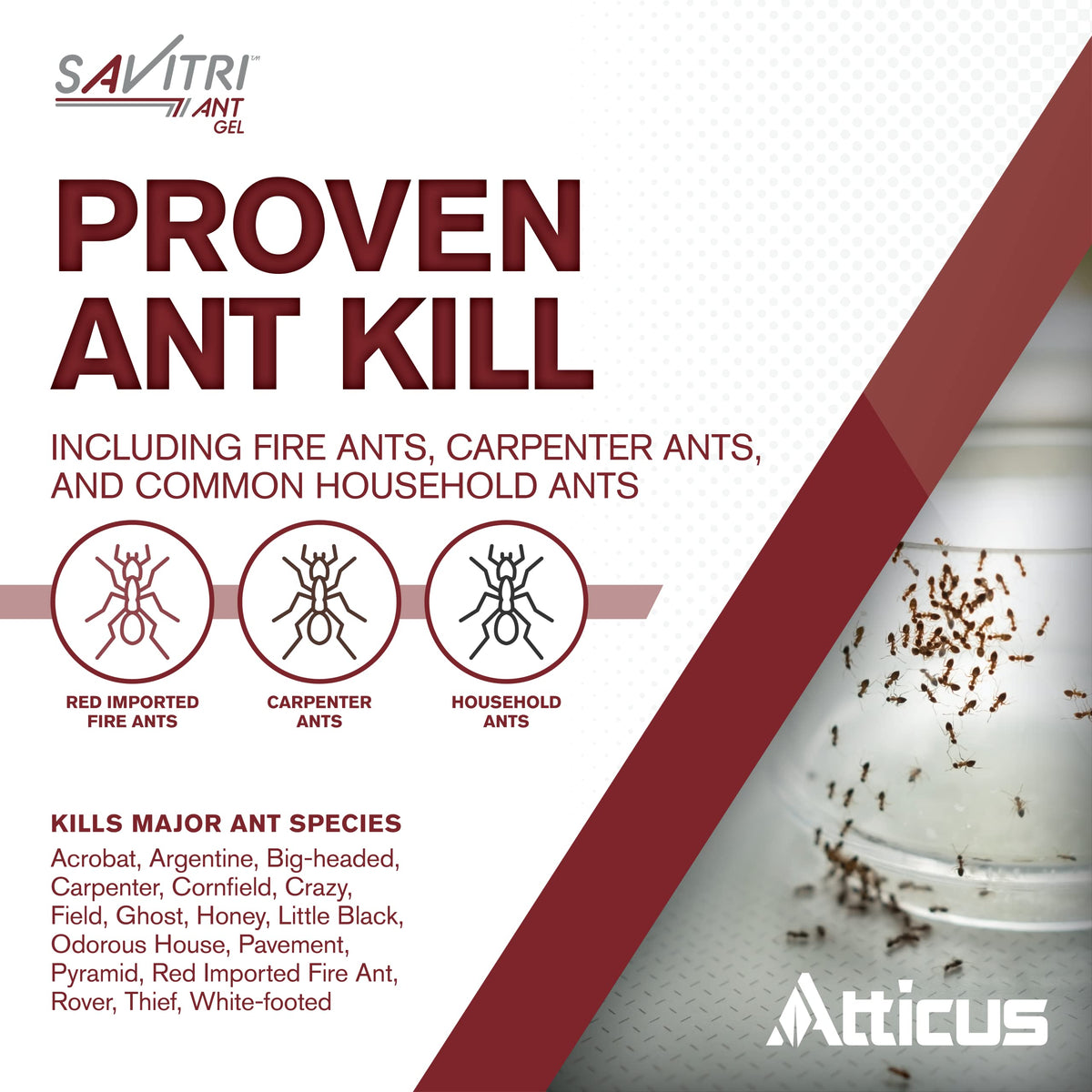 Atticus Savitri Ant Gel Bait (4 x 30 Grams) - Indoor and Outdoor Ant Killer