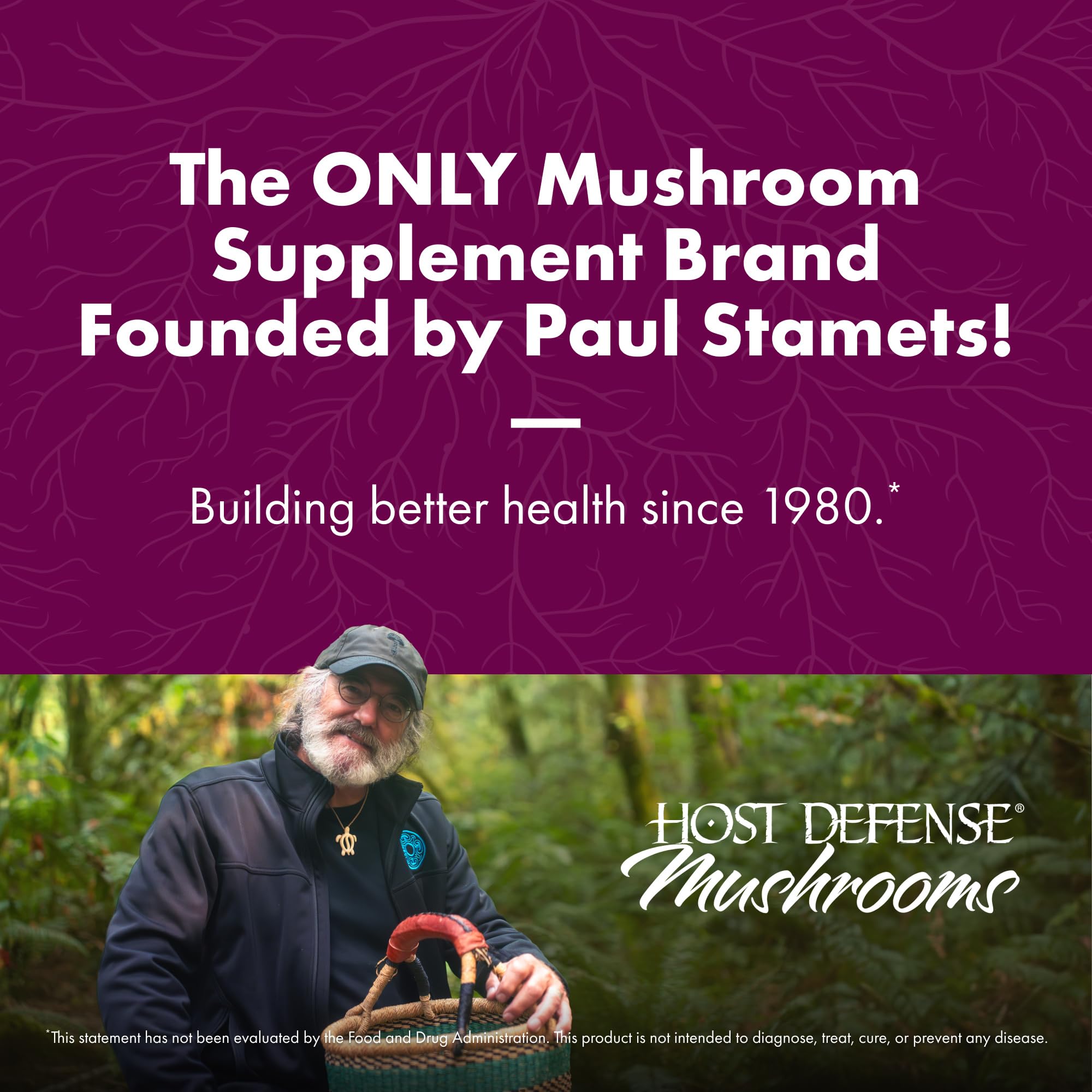 Host Defense Turkey Tail, Digestive & Immune, 240 (2 Units of 120 Ct) | Digestive, Gastrointestinal, Immune Response, and Gut Microbiome Support, Turkey Tail Mushroom Supplement, 60 Servings Each