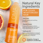 LOMA Daily Shampoo 33 Ounce (Liter)