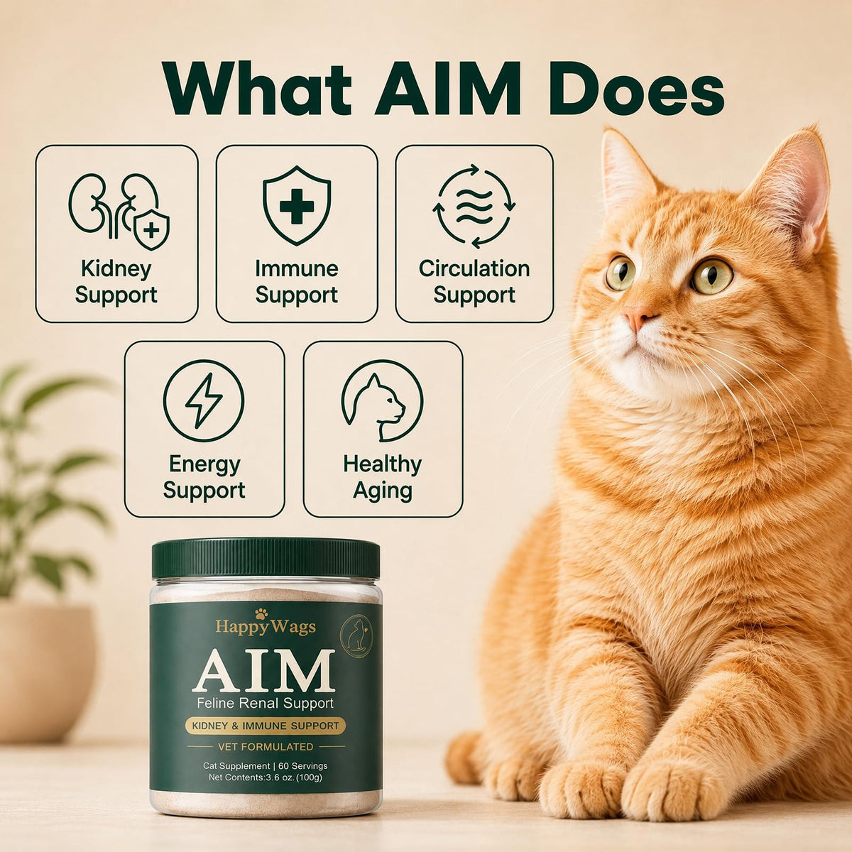 Happy Wags Aim for Cats Powder, happywags Aim Kidney & Immune Support for Cats, Cat Supplement, 100g