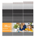 Moon Roses 30 Pcs Miniature Detail Paint Brush Set