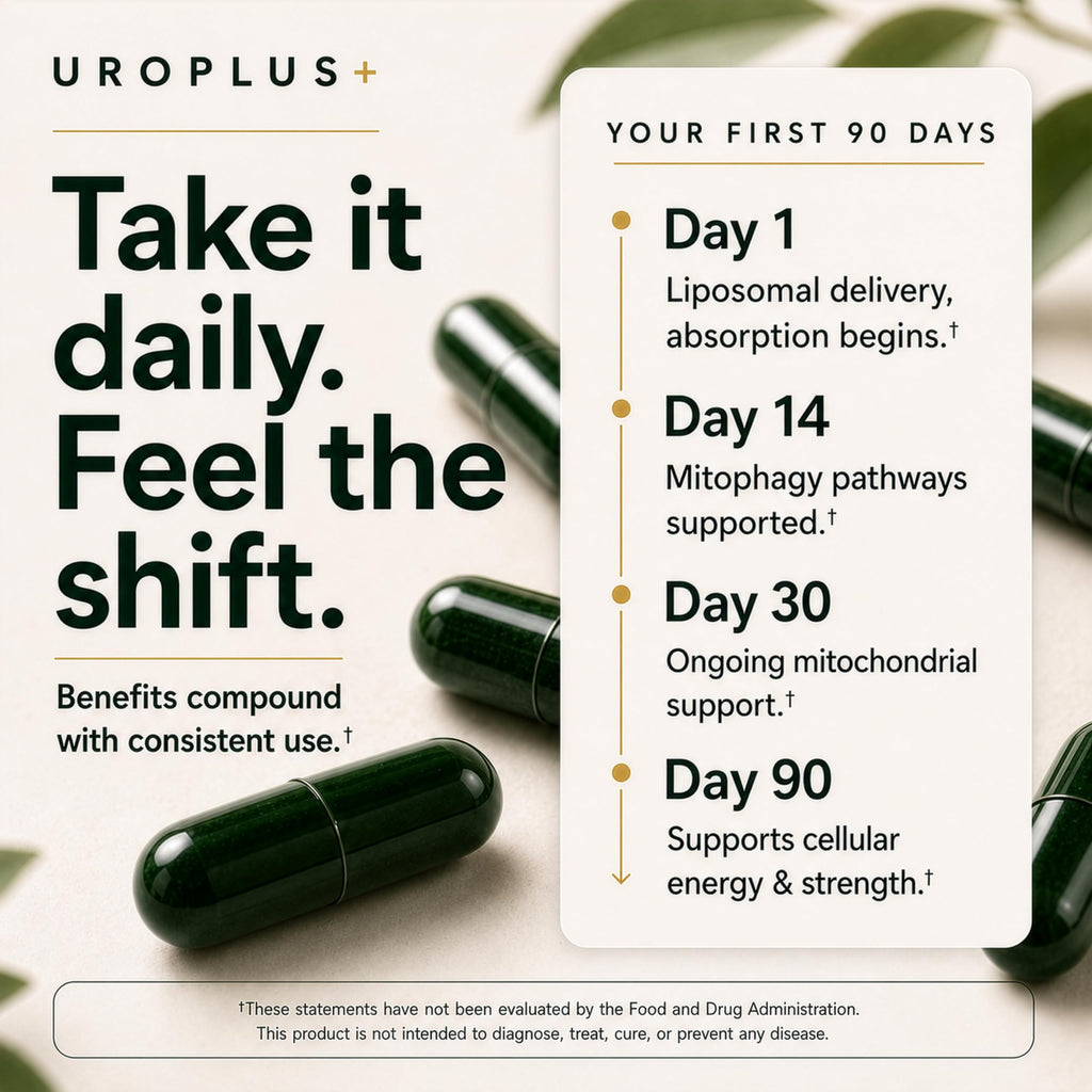 Liposomal Urolithin A Complex, 1250mg 10-in-1 with NAD+, NMD, & Resveratrol | Mitochondrial Energy, Cellular Health, Healthy Aging & Muscle Recovery Support