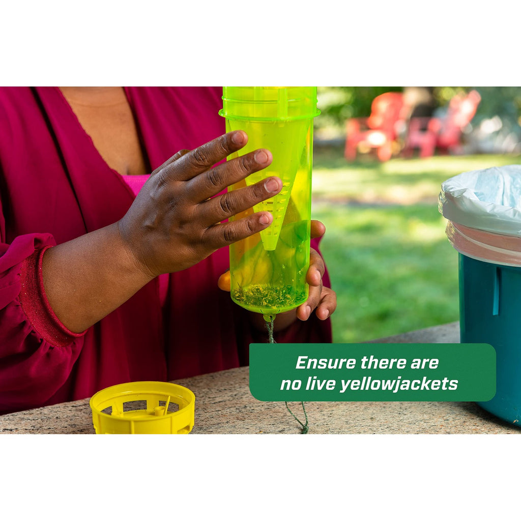 RESCUE! Yellowjacket Attractant – for RESCUE! Reusable Yellowjacket Traps – 4 Week Supply - 2 Pack