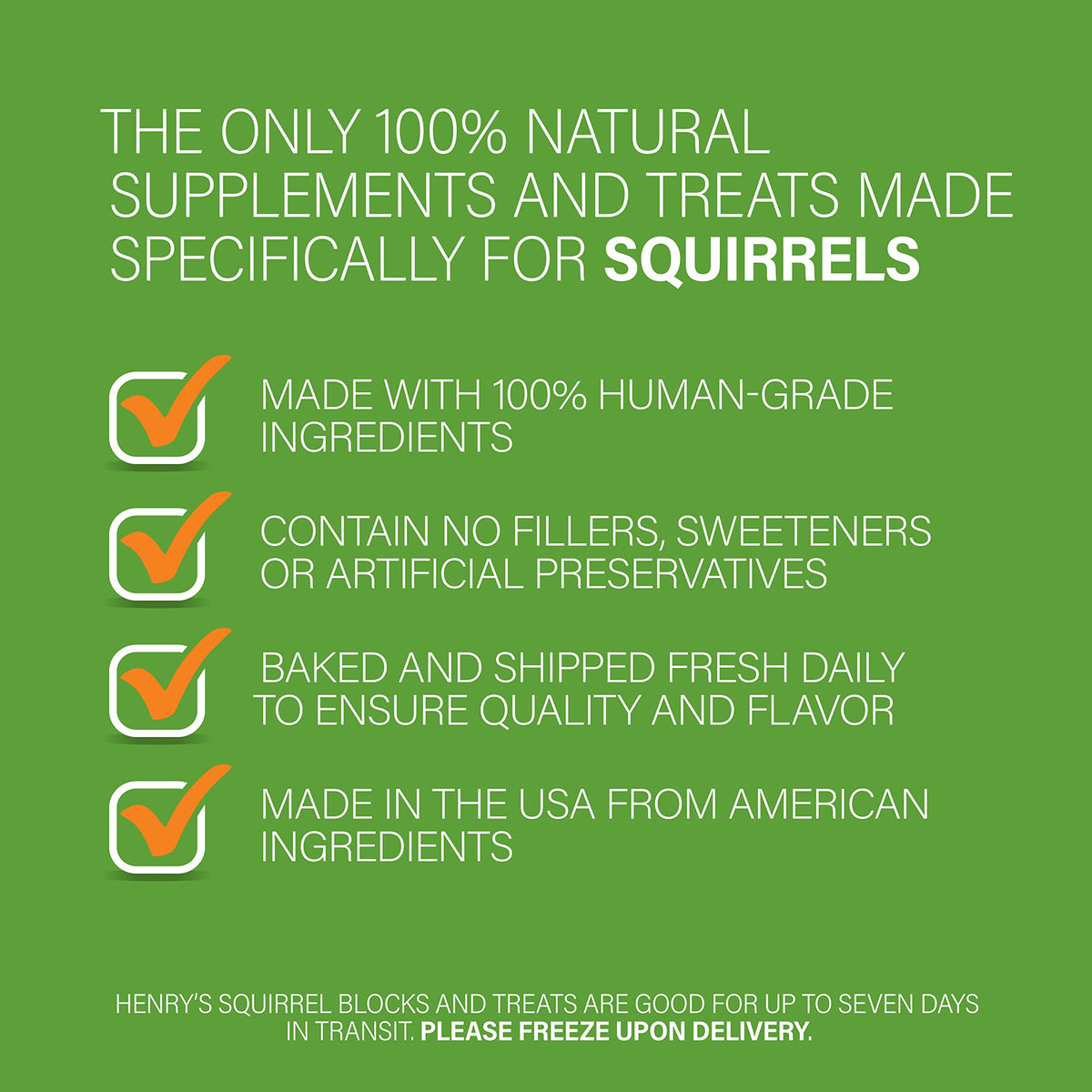 Henry's Healthy Blocks Food for Squirrels, Flyers, Rats and Mice