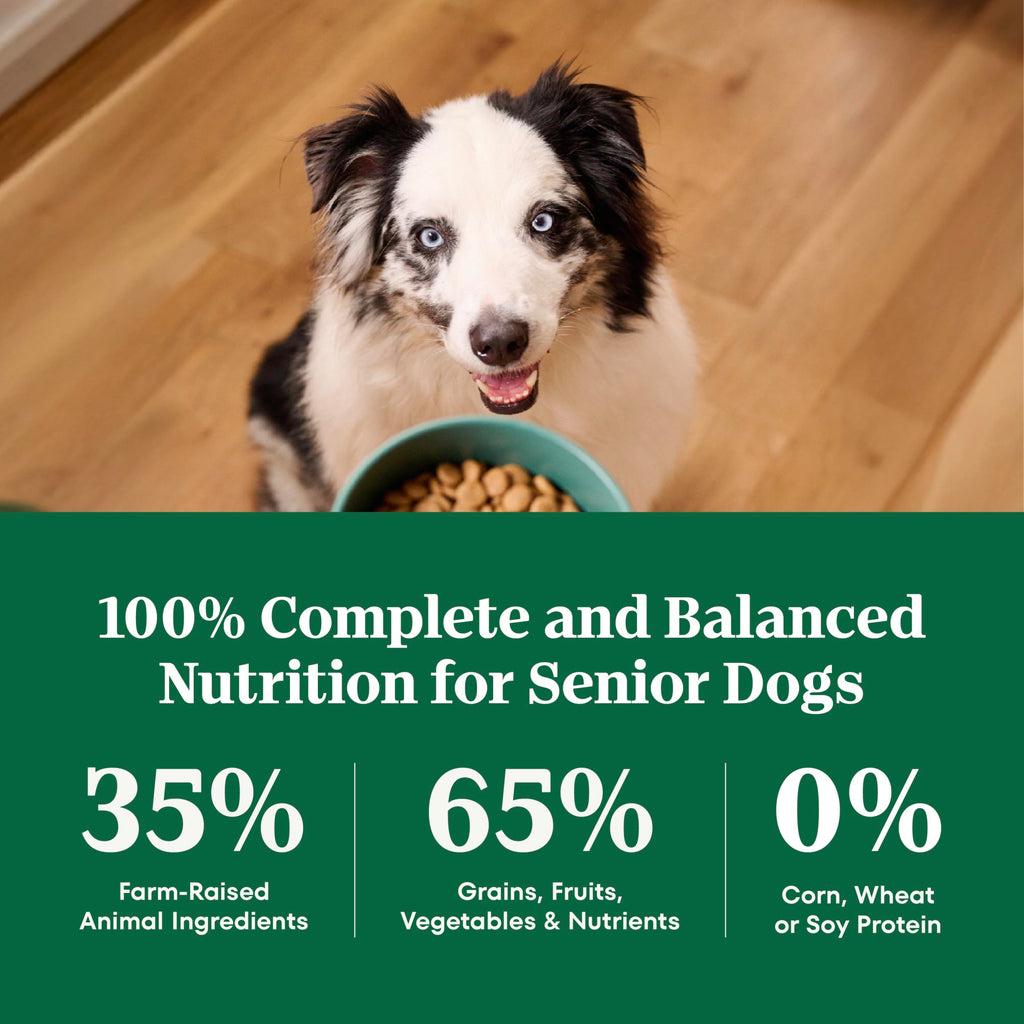 Nutro Natural Choice Senior Large Breed Dry Dog Food, Chicken, 30 lb