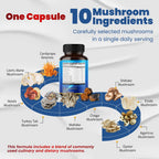 Mushroom Complex Supplement, 10-in-1 Blend with Lion's Mane, Cordyceps, Reishi, Turkey Tail, Chaga, Maitake & Shiitake, Cognitive & Immune Wellness Support*, 150 Capsules, Non-GMO