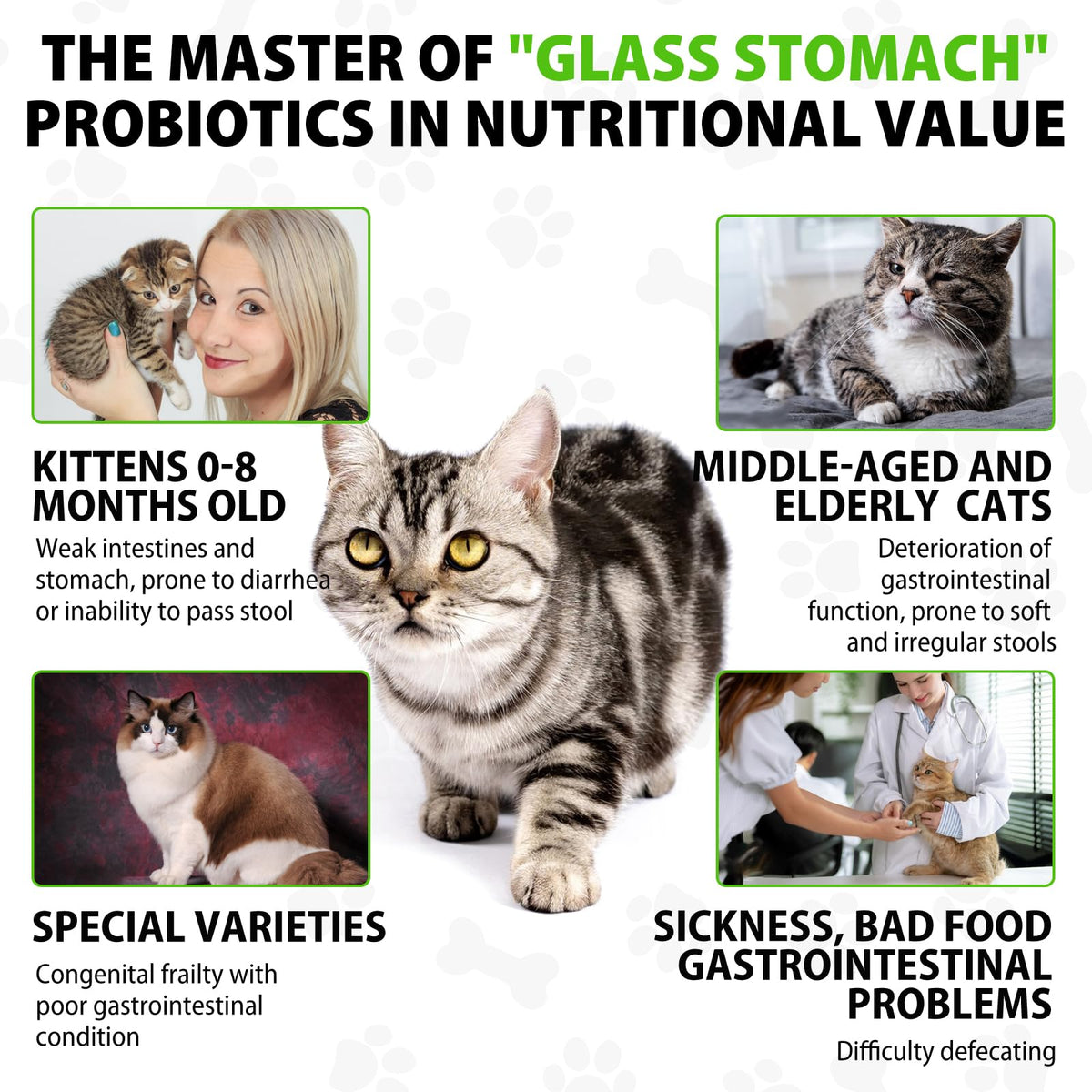 Cat Constipation Relief, Cat Laxative Constipation Relief