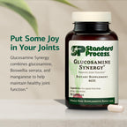 Standard Process Glucosamine Synergy, Connective Tissue, 90 Capsules