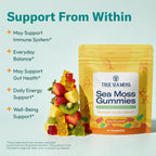 TrueSeaMoss Gummies Sample – 1200mg Irish Sea Moss + Bladderwrack & Burdock Root – Travel-Size, Fruity – 14 Gummies – Easy On-the-Go Wellness