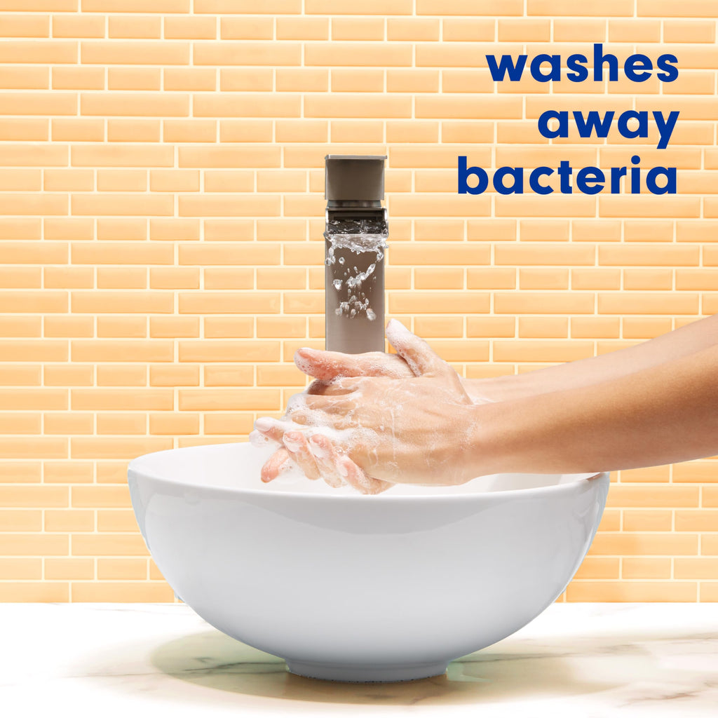 Buy now Softsoap Antibacterial Liquid Hand Soap, Crisp Clean Scent, 11.25 Ounce, 6 Pack at indiglob india