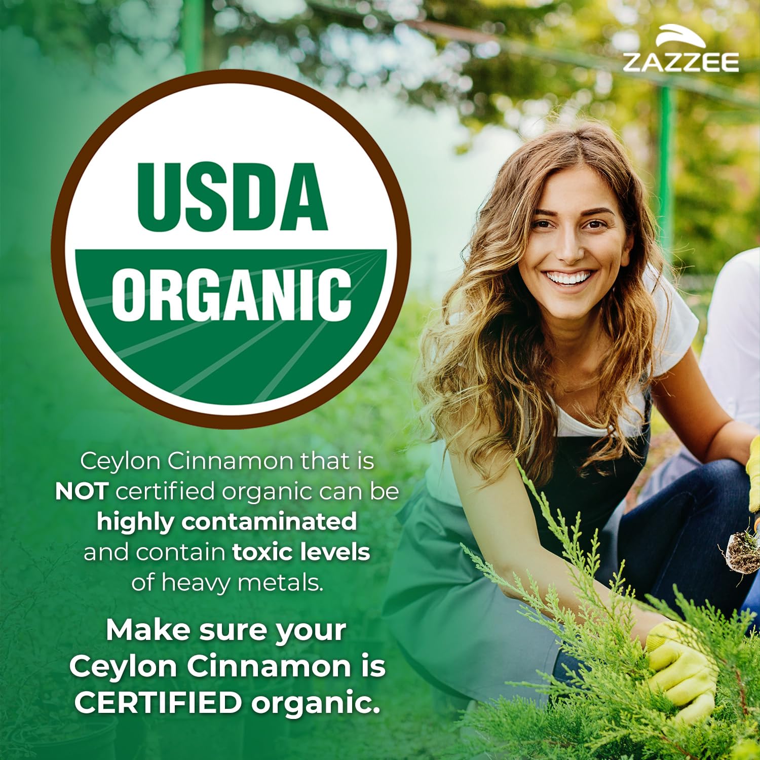 Zazzee USDA Organic Ceylon Cinnamon 20:1 Extract, 150 Capsules, Sri Lankan | Vegan, 5 Month Supply, Cinnamomum Verum, Antioxidant & Metabolic Support, All-Natural, Non-GMO, Made in the USA